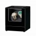 Dual Watch Winder -Black